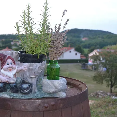 Apartman Apartman Pino Motovun